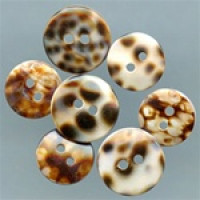 Tiger Shell Button - 3 sizes