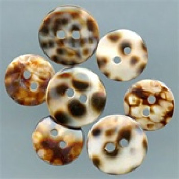 Tiger Shell Button - 3 sizes