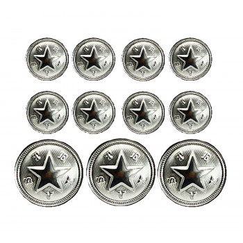 M-1921SET Set of Silver State of Texas Buttons, (5/8" and 7/8")