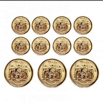 M-1924SET - Set of New York State Seal Buttons, 2 Sizes 