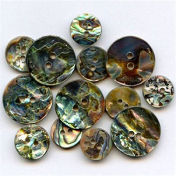 MA-1139 Mexican Abalone Button, 5 Sizes